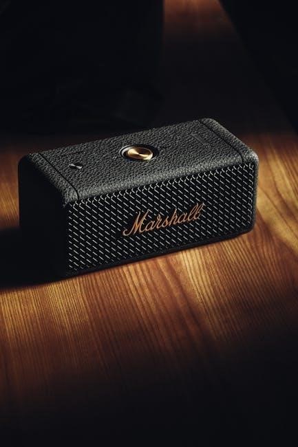 ilive bluetooth speaker instructions