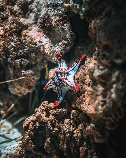 coral guide
