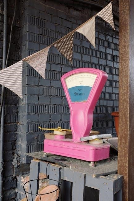 seca weight scale manual