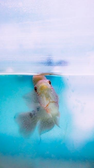 hygger 24/7 aquarium light instructions