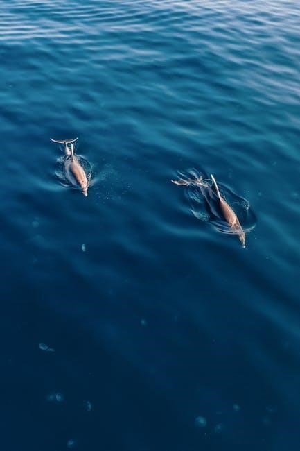 dolphins filetype:pdf