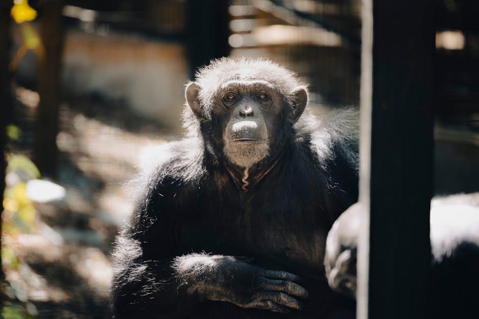 shelterlogic max ap canopy 10×20 instructions