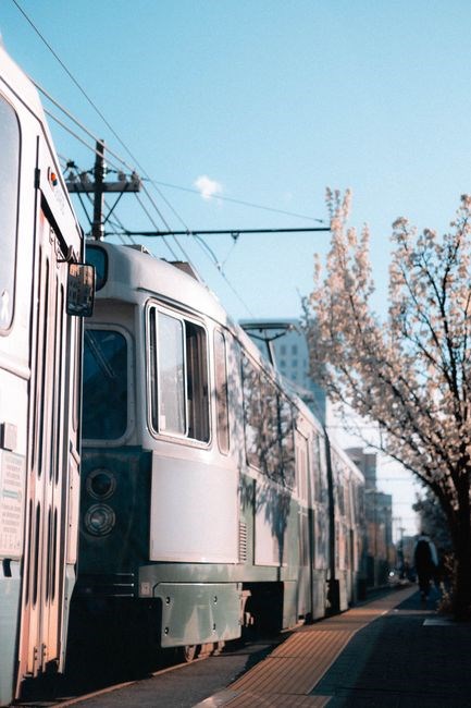 west trenton line schedule pdf